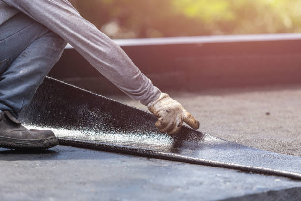 Professional Interior Drainage System technician working in Bismarck, IL